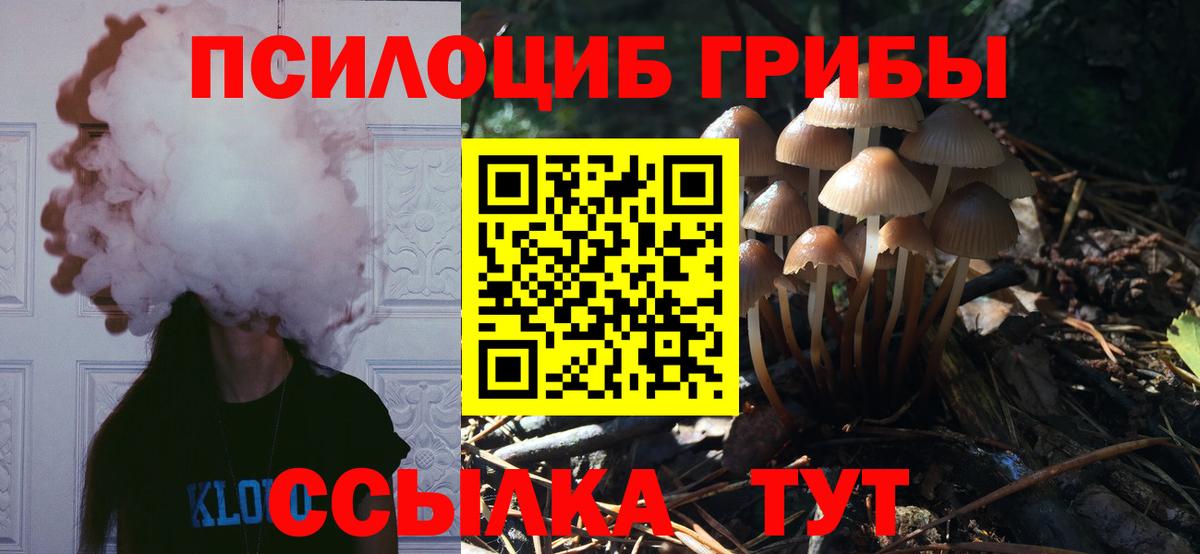 Трёхгорный  Псилоцибиновые грибы прущие грибы  Вход с VPN 